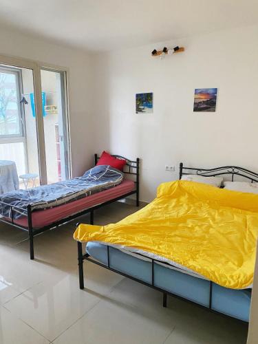 Front de Lac House | YLt333