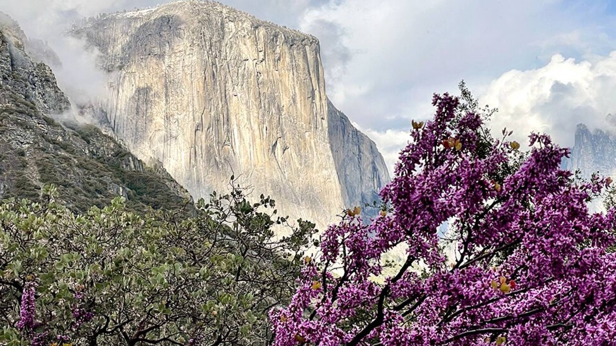 Yosemite West House | Yosemite Mountain Lodge