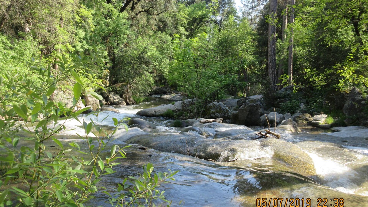 Yosemite Forks House | Yosemite Southgate Waterfront Cabin 3 Bdrm Bass Lake Oakhurst Spa pets Specials!