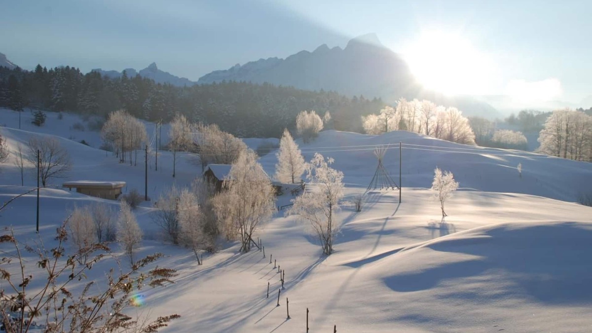 Seelisberg Apartment | Your experience