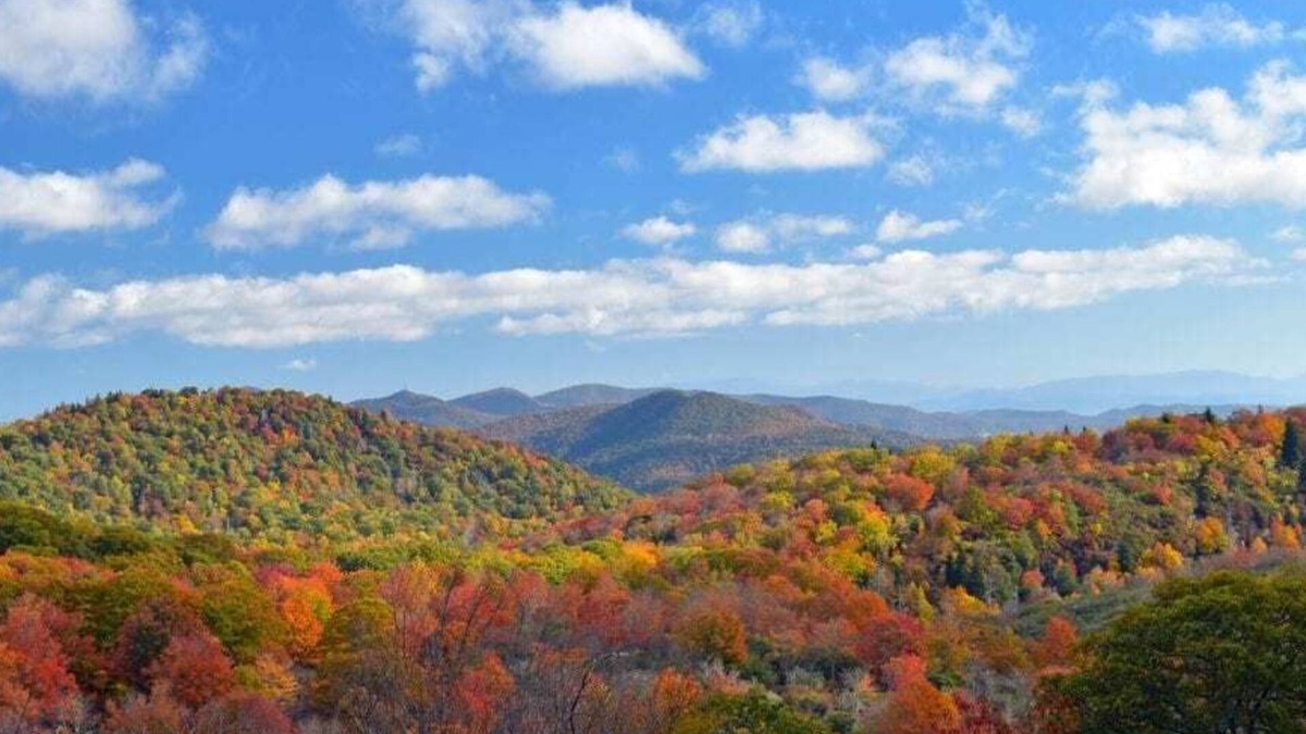 Horse Shoe House | Your mountain escape awaits!