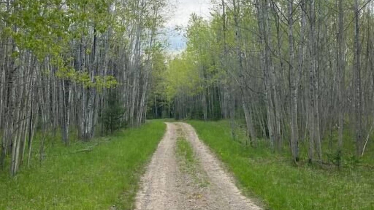 Herron House | Your own private deep woods experience