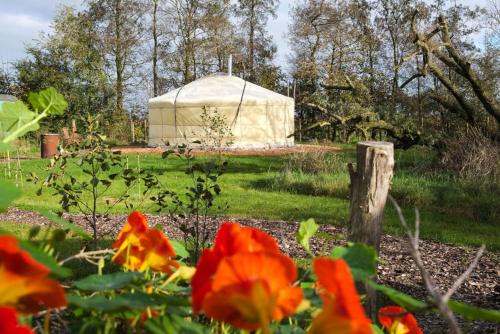 Feanwalden Bed & Breakfast | Yurt Klyndobbe