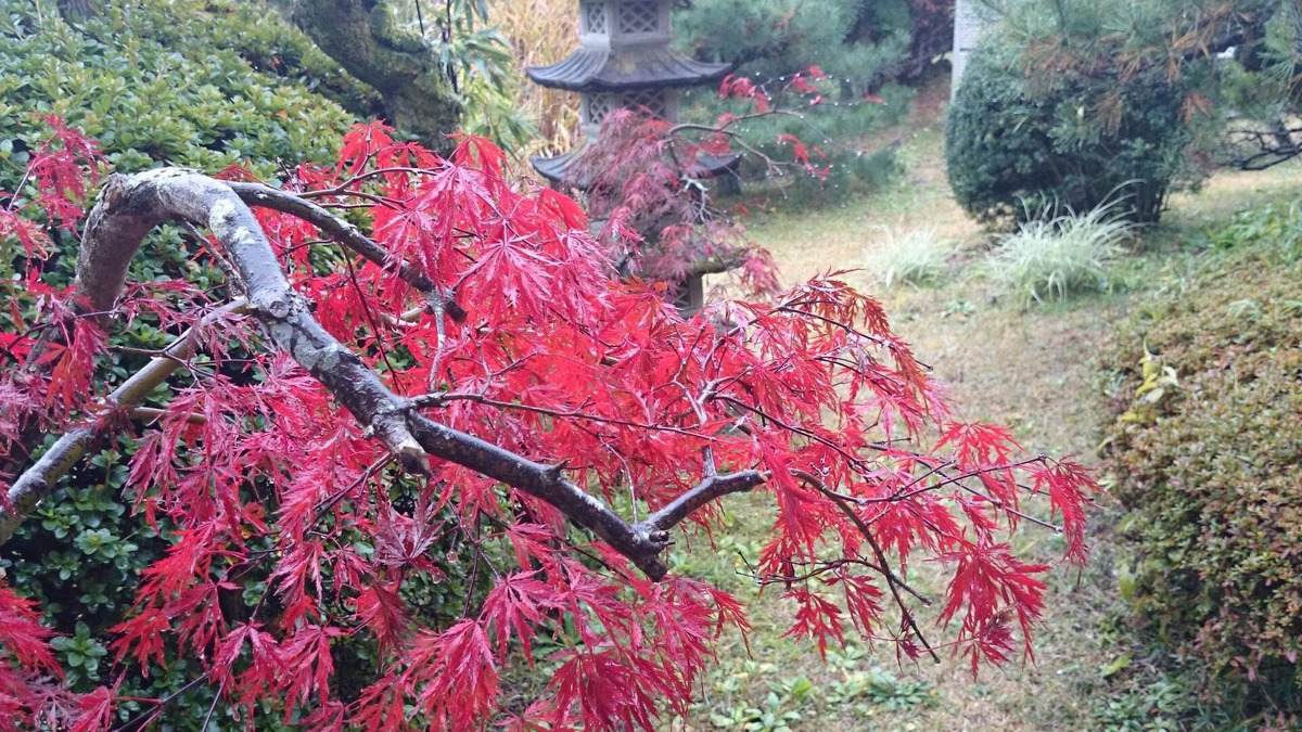 Higashiibaraki-gun House | Yusenso