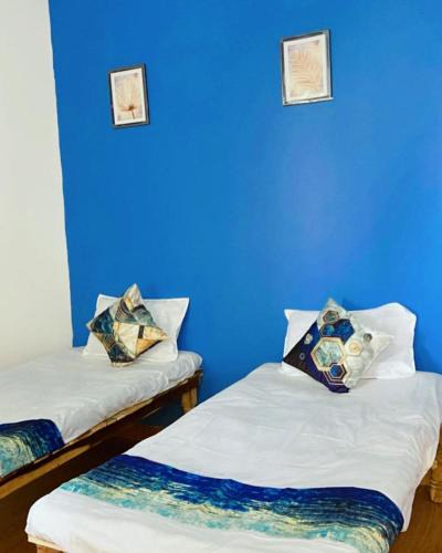 Bhopal House | Z Homes