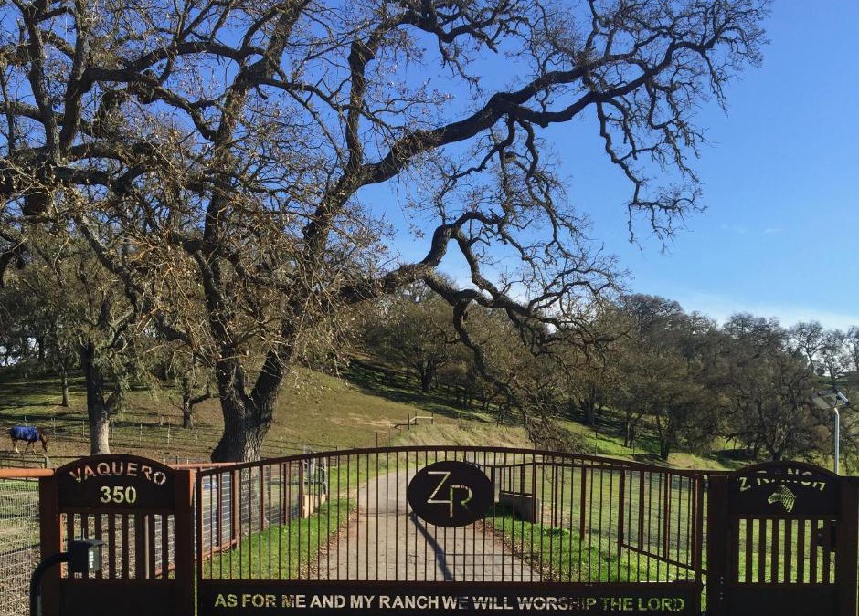 Templeton House | Z Ranch