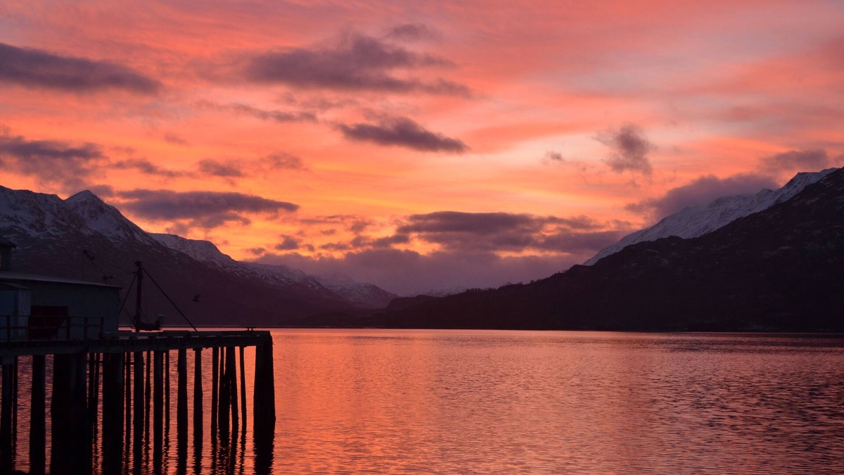 Kodiak Cabin | Zachar Bay Lodge Inc