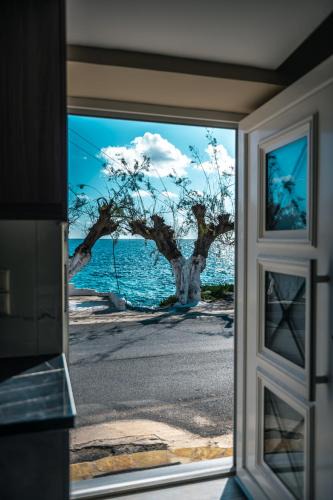 Marathopoli House | Zafeiropoulos Apartments