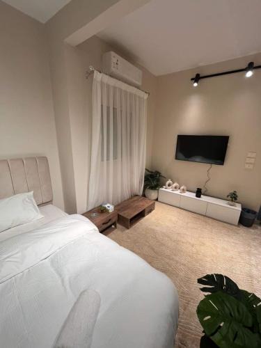 Zamalek Apartment | Zamalek studio S8