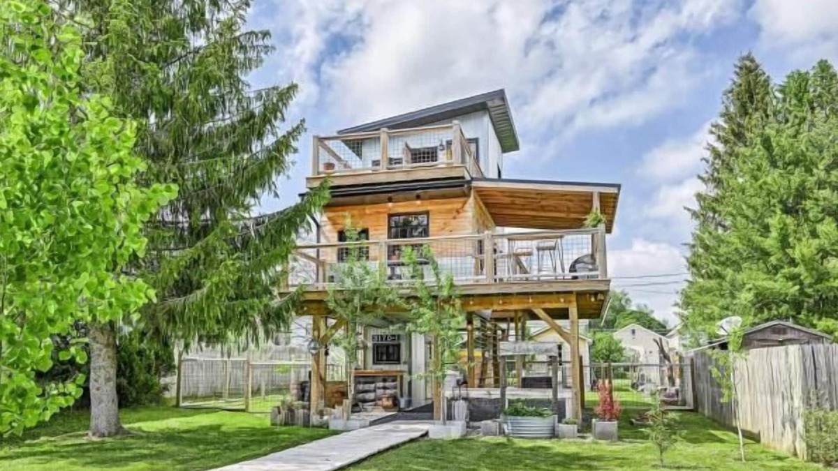 Canaan Valley House | Zen2- Adorable Tiny Home in Davis! Pet Friendly! A/C