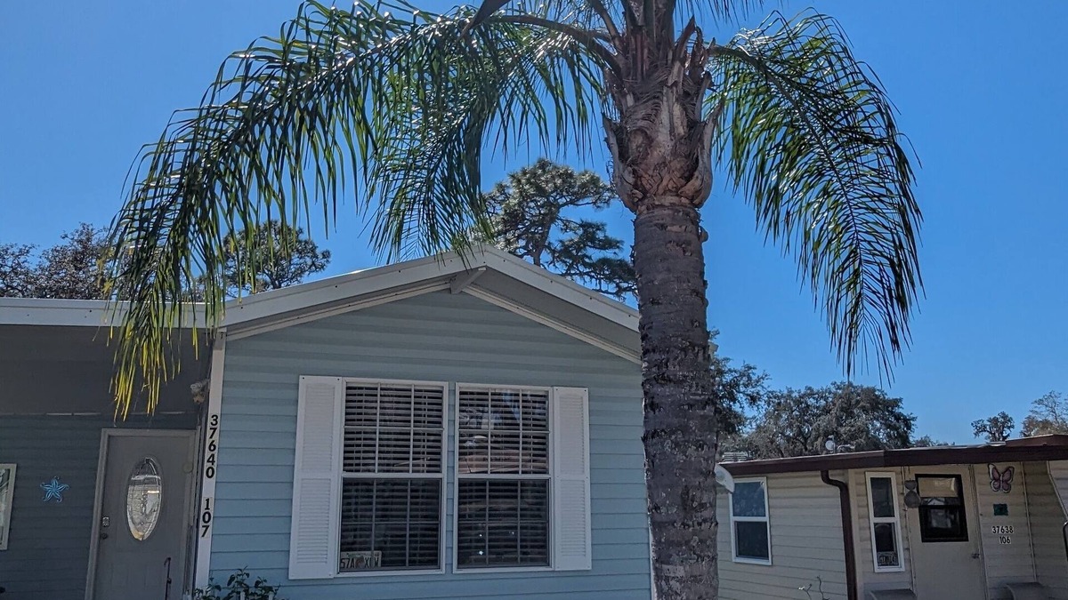 Zephyrhills South Other | Zephyrhills Florida close to Tampa, Zoo, Hard Rock, and Bush Gardens.nPool.