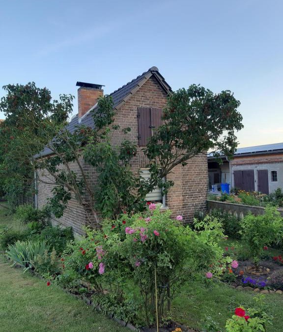 Markische Heide Apartment | Zur alten Sommerküche