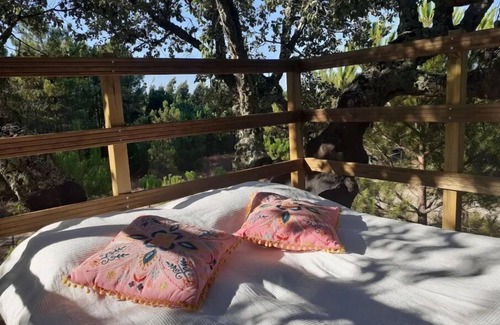 Vale de Mulheres House | Árvore dos Sonhos - Tree House