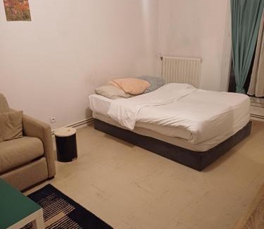 Bout des paves-Chene des Anglais Apartment | Émeraude tulipe