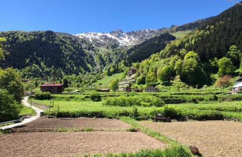 Caykara Apartment | Özer Apart