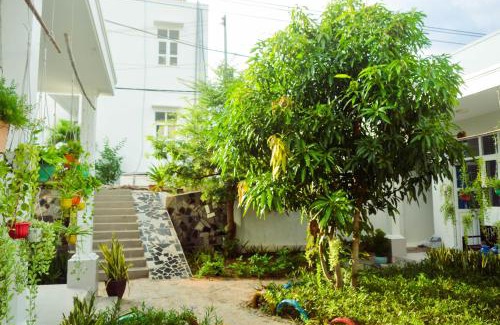 Ho Tram House | Đồi Dừa Homestay