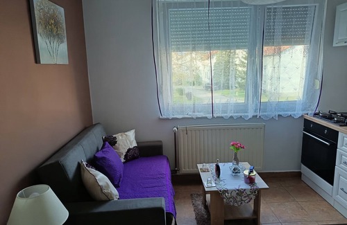 Vukovar Apartment | Šarmantan apartman Melii Vukovar u mirnom naselju nedaleko Vodotornja