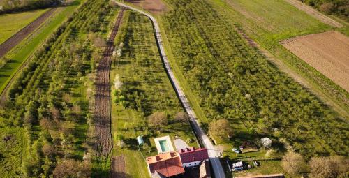 Velika House | Šljivik stari