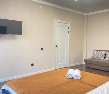 Almaty District Apartment | Новновый вокзал-166