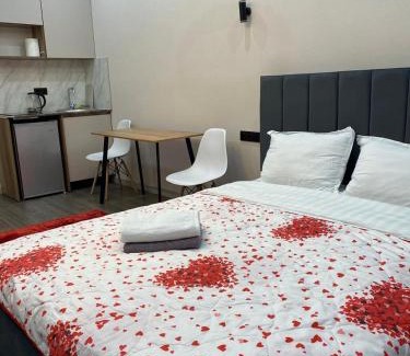 Almaty District Apartment | Новый вокзал-127