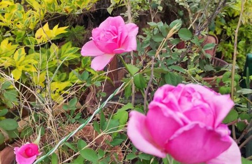 Ismailia Apartment | قرية النورس