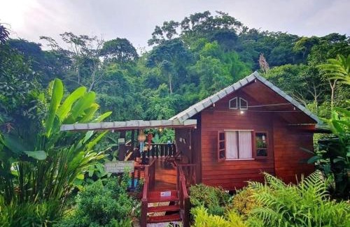 Mae On House | จดจำ Memorize I Chiang Mai