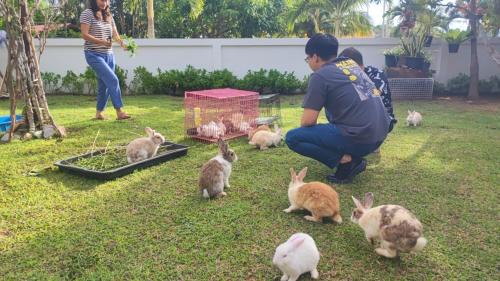 Ban Phai House | บ้านพักในสวนK&N2