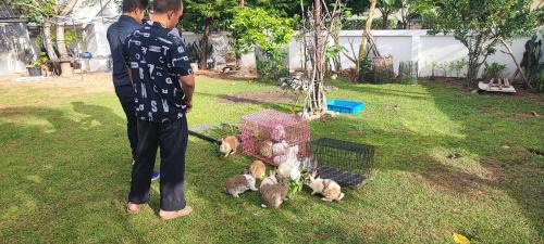 Ban Phai House | บ้านพักในสวนK&N2