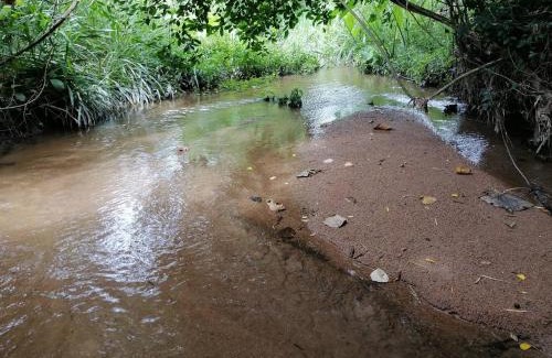 Si Racha Bed & Breakfast | บ้านย่า ณ ท่าไทร