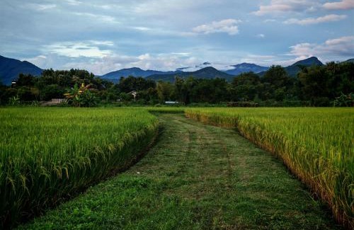 Pua Hotel | บ้านฮิมนาปัวรีสอร์ท