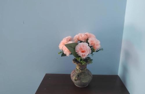 Sung Noen House | ร่มเย็น