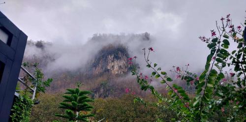 Chiang Dao House | วีรพัชนารา
