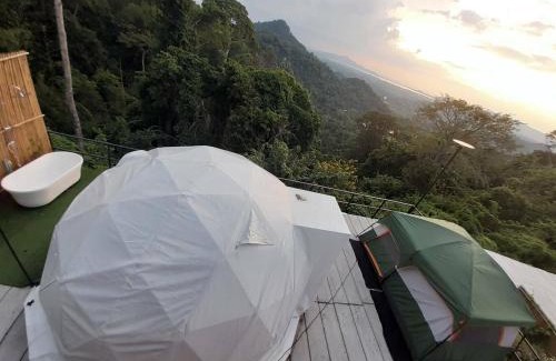 Si Racha Other | ศูนย์ฝึกอบรมสวนสัตว์เปิดเขาเขียว JJJ