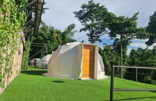 Si Racha Other | ศูนย์ฝึกอบรมสวนสัตว์เปิดเขาเขียว JJJ