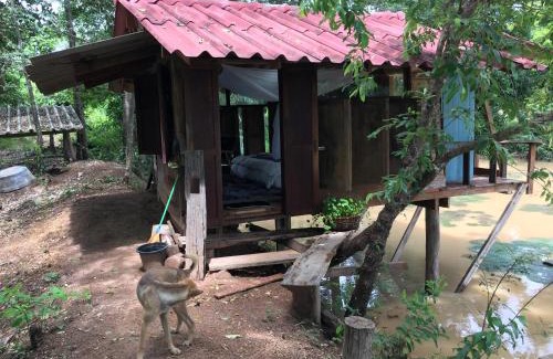 Chiang Kham House | สวนบ้านนอก SuanBaanNoak