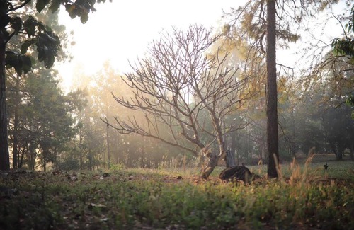 Pang Mu House | สวนสน โฮมสเตย์