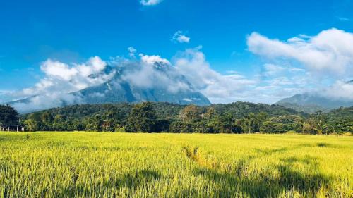 Chiang Dao Cabin | หลงเขา Chiang Dao