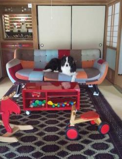 Tabuchi Villa | ちびっこ・わんこ・リゾート Sarari (里楽里)