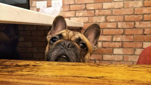 Luodong Bed & Breakfast | 川岸空中villa