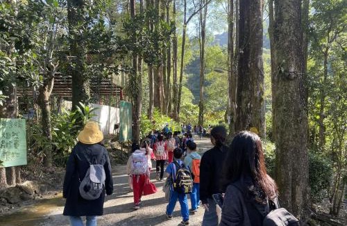 Meinong Cabin | 森霖旅宿