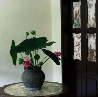 Xihu Hotel | 涤心龙井