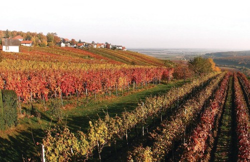 Guessing House | 1 bedroom accommodation in Steingraben