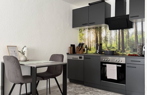 Bad Wildbad Apartment | 1-room apartment | near thermal baths & suspension bridge