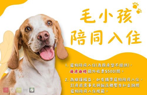 Zhongli District Hotel | 168 Motel-Zhongli