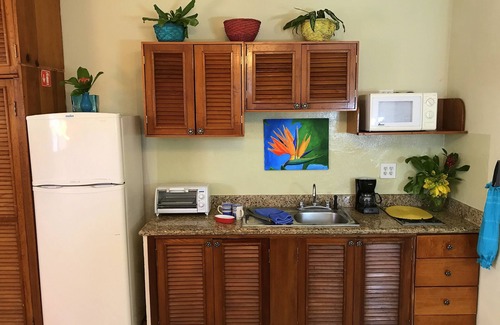 Colonia Adolfo Lopez Mateos Condo | 1BR/1Bath-74/Nite! IRONMAN Competitors, Winter Snowbirds, Summer Trips Welcome!