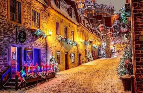 Maizerets Apartment | 1CH Queen Sofa bed Wifi Smart TV