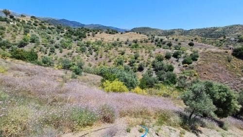 Sedella House | 2 Bed 2 Bath Villa Near Sedella Heatable Saltwater Pool