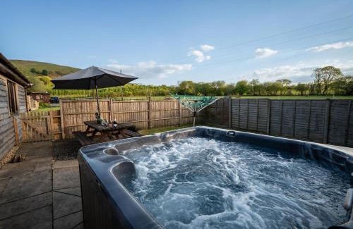 Penybont House | 2 Bed in Llandrindod Wells 88203