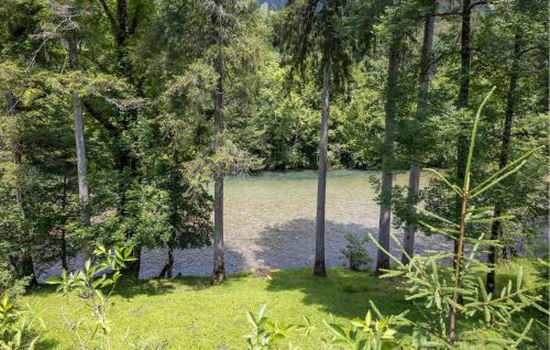 Presika House | 2 Bedroom Amazing Home In Delnice