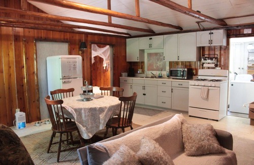 Greenbush Cabin | 2-bedroom pet friendly Lake Huron cabin with Hot Tub in Greenbush